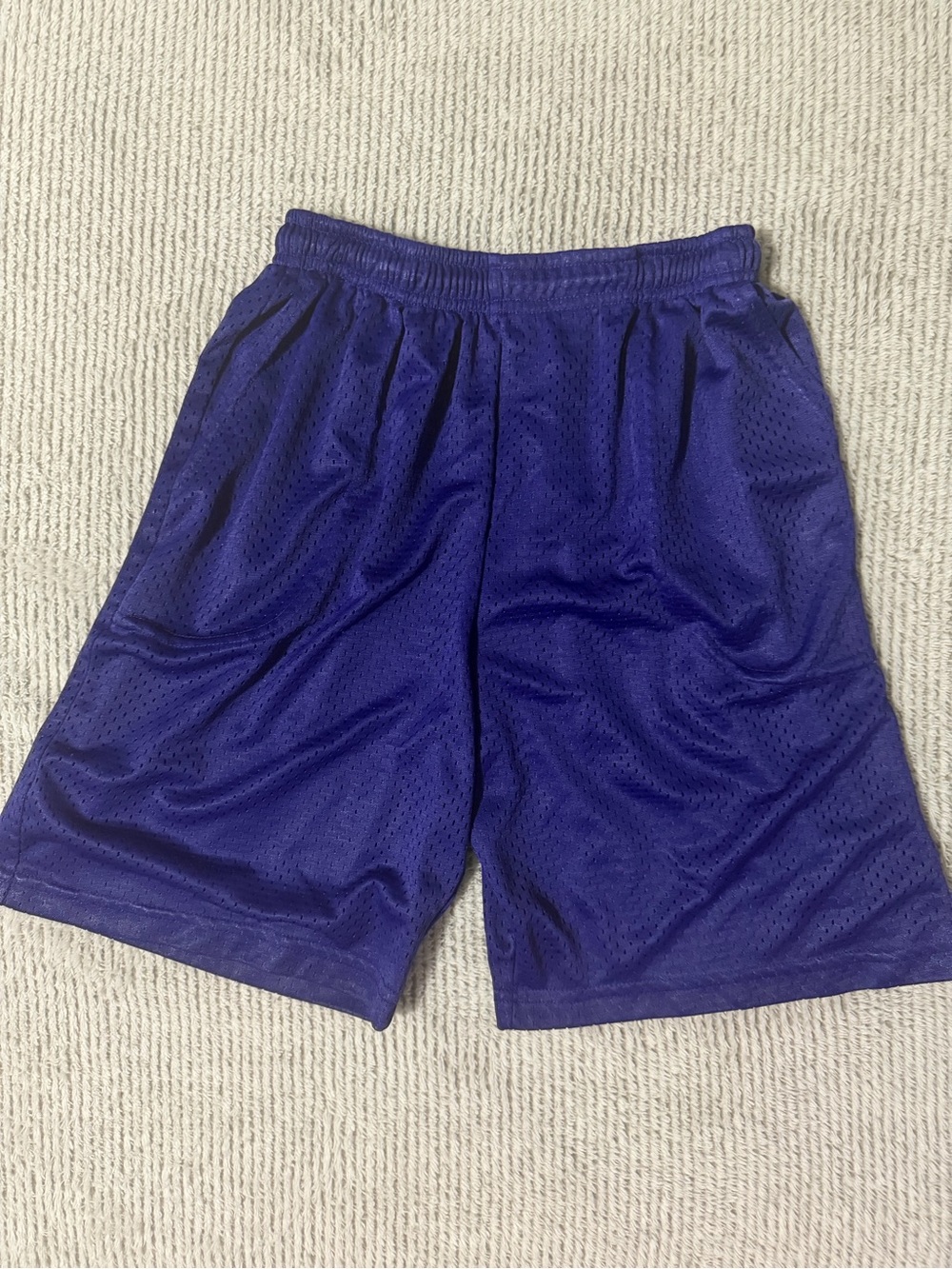 Men's Athletic Mesh Shorts - Royal Blue